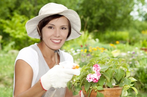 Local tree care specialist performing planned tree surgery in Hillingdon