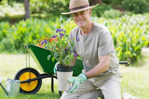 Healthy landscaped garden after tree surgery